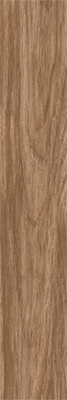 Коллекция JUNGLELUX