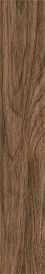 Коллекция JUNGLELUX